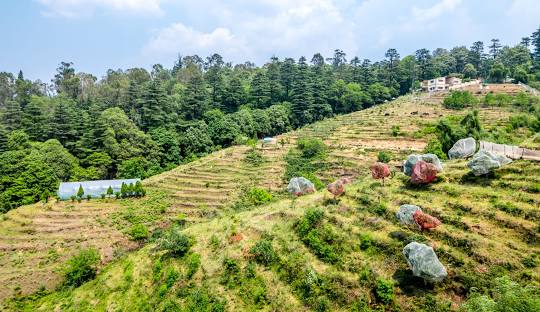 Dehradun to Ranikhet Cab